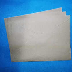 Brown Envelope - Short